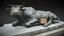 Loading 3D Model