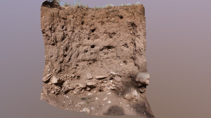 Aridisol Pit 3D Model