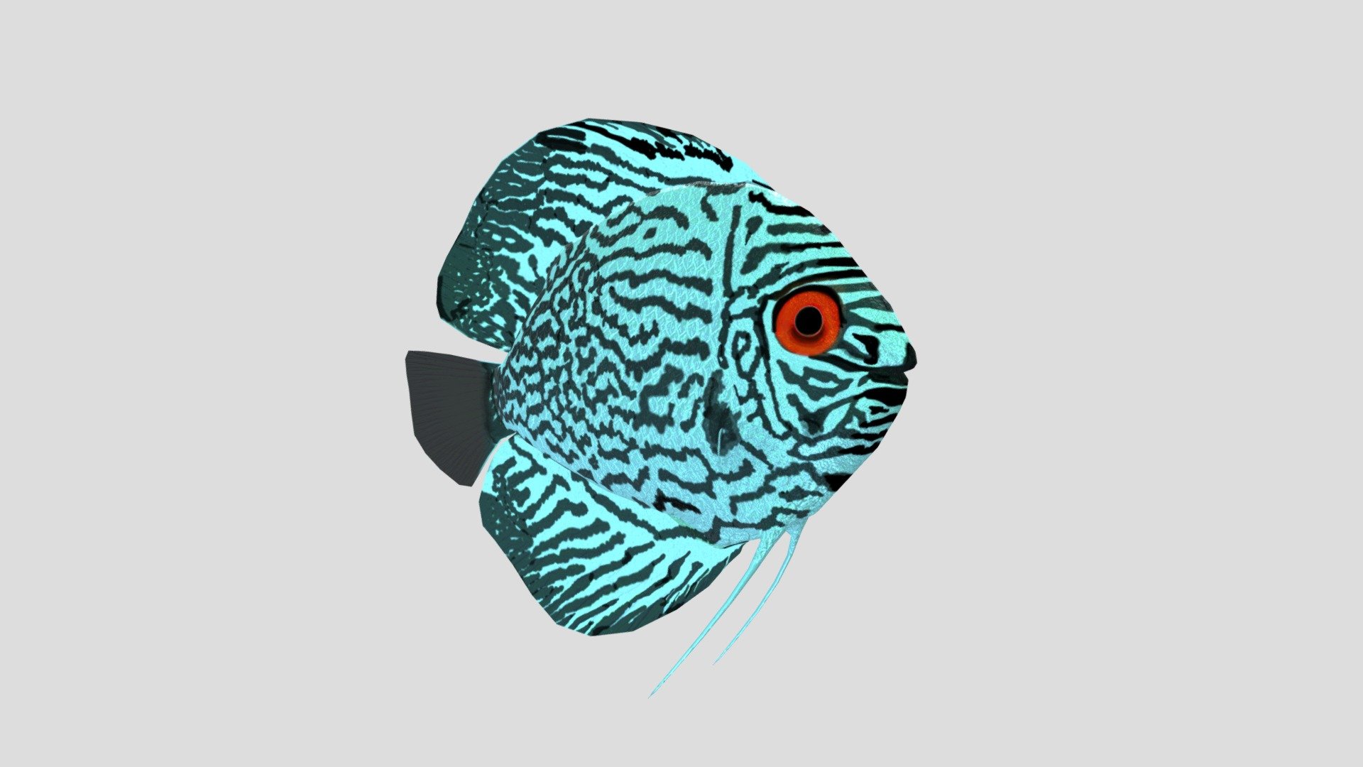 Blue discus - 3D model by Erik Reinoso (@Skpsy) [02c0981] - Sketchfab