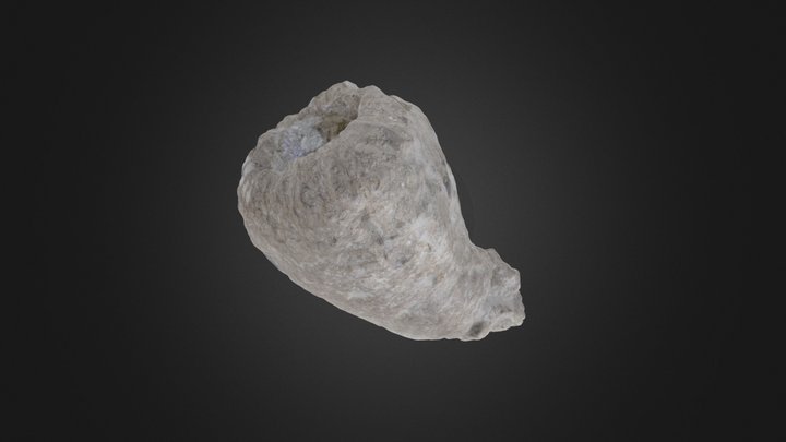 Porifera: Trochobolus cylindratus (PRI 76848) – Free 3D Model STL