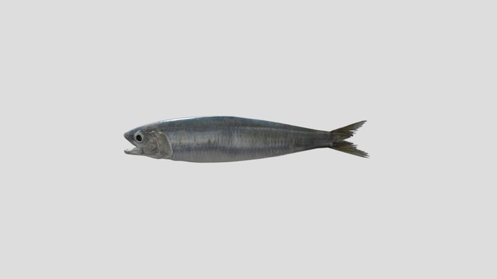 1 3D Model