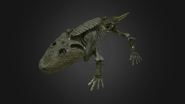 Dino 46 3D Model