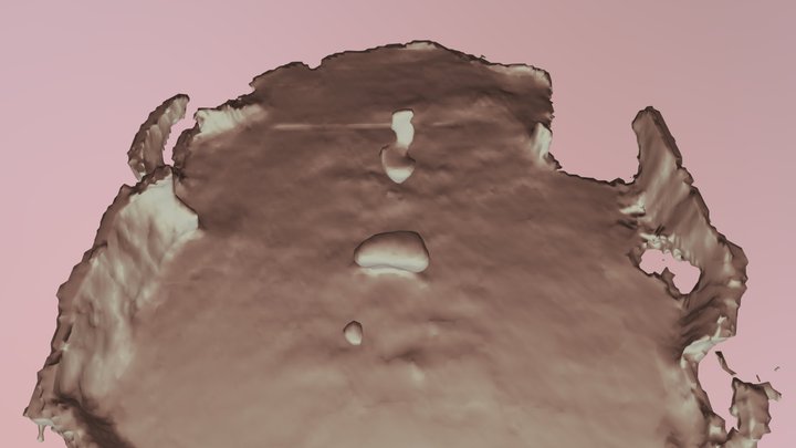 Coverage-Recon Experiment No Map Feedback 3D Model