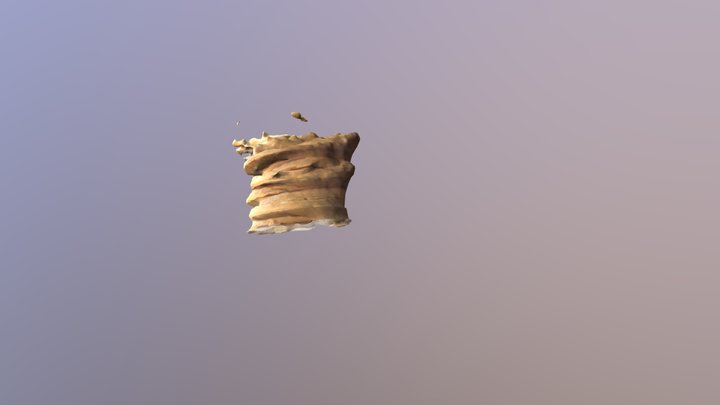 Tower of Waffles 3D Model