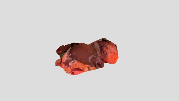 New Qlone 3D Model