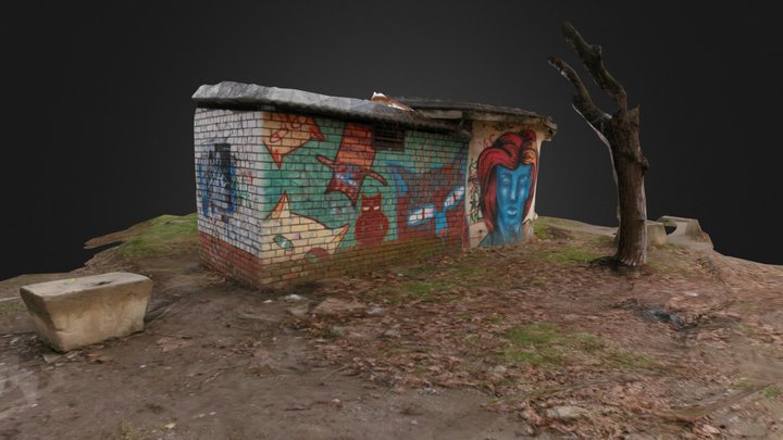 Krasnodar. Graffiti Cabin 3D Model