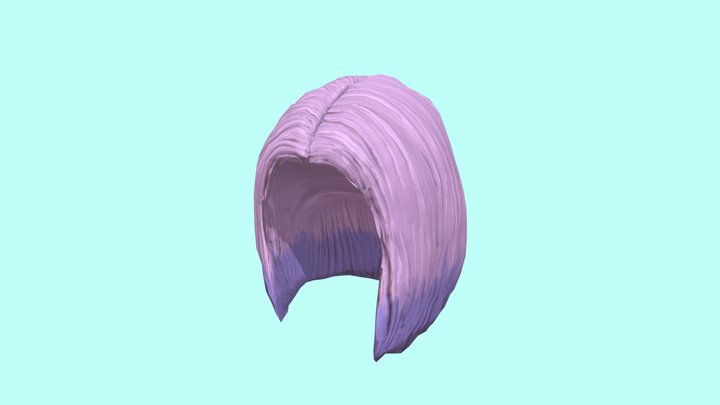 Pink Purple Ombre Hair 3D Model