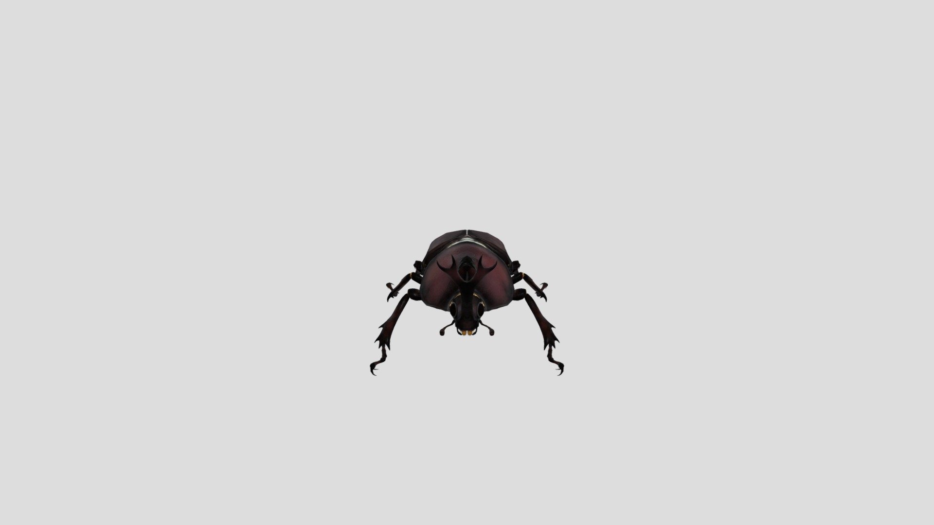 Rhinoceros Beetle - Buy Royalty Free 3D Model By Phil3D (@philosophie ...