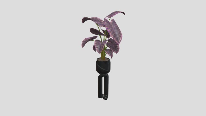 Modern Plant