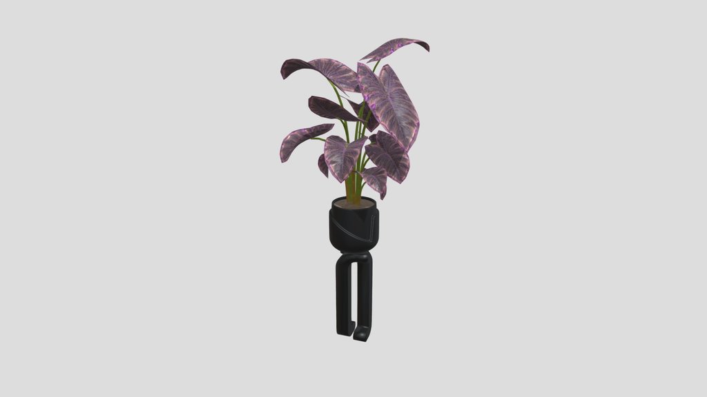 Modern Plant