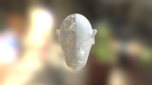 Sculptris Face 3D Model