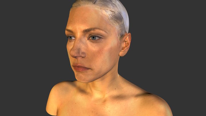 Katheryn Winnick 3D Scan 3D Model