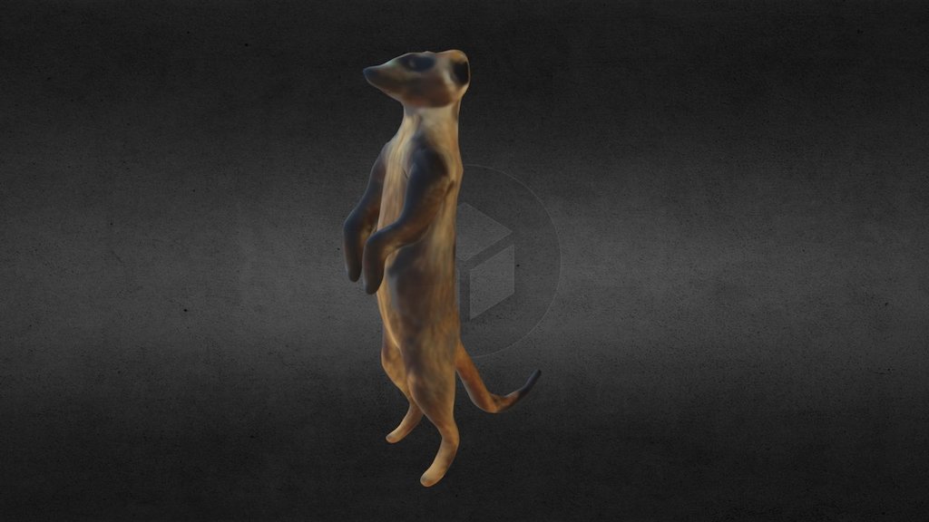 Lowpoly Meerkat