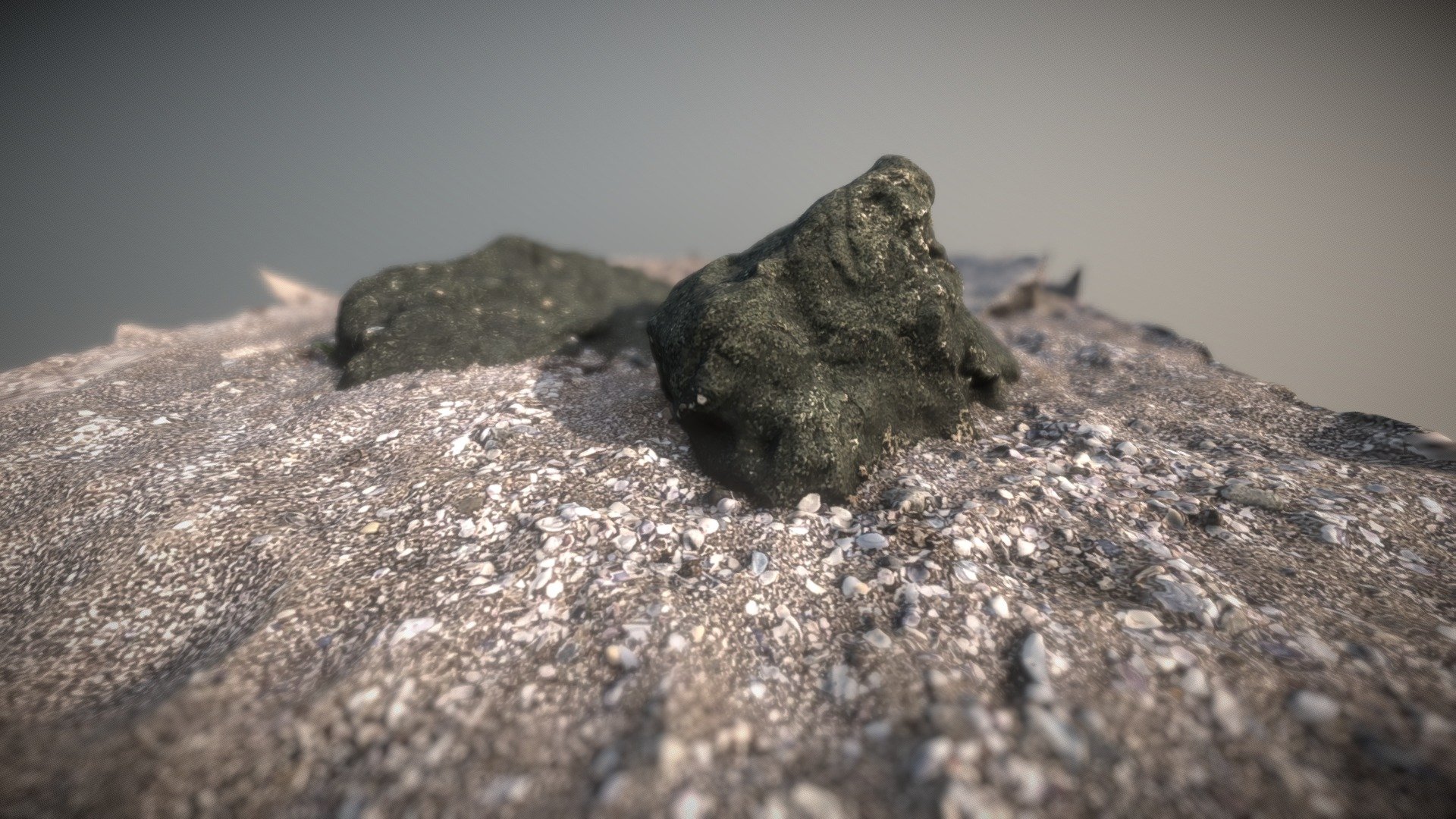 Rocks and shells - Download Free 3D model by mitakazoom [02dddbc ...