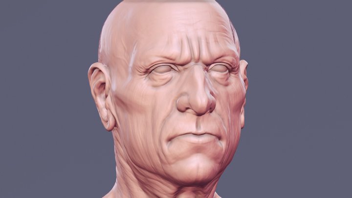 ZSketch 3D Model