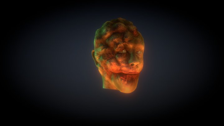 Opdracht Zelfportret Zombie 3D Model