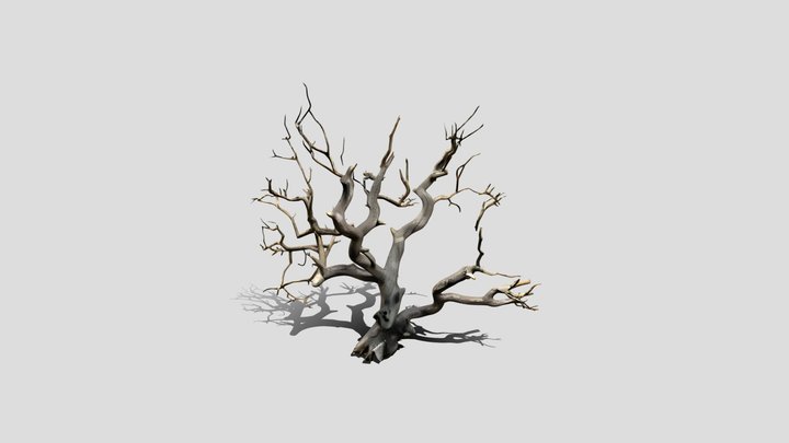 A old tree – Free 3D Model STL