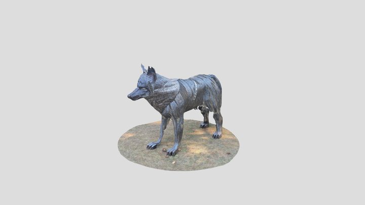 Lupo2