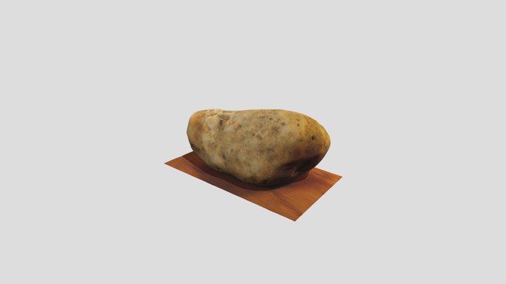 Rock photogrammetry 3D Model