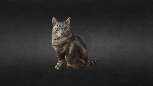 Cat mo 3D Model