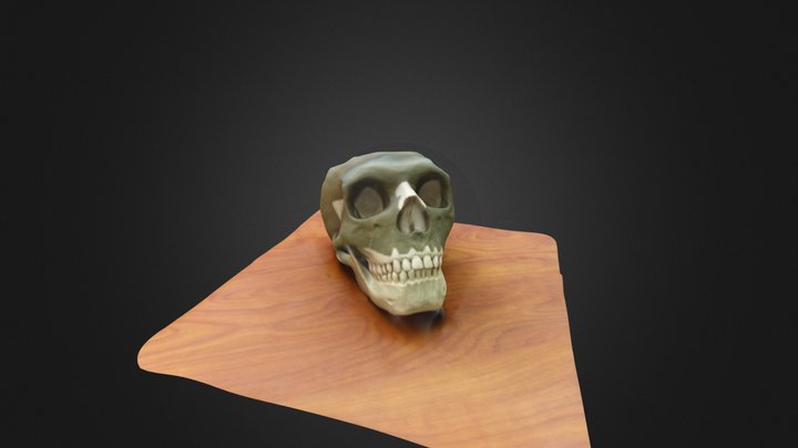 Neanderthal 3D Model