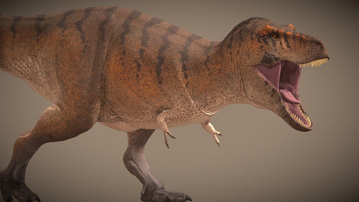 Tyrannosaurus Rex – Kostenloses 3D-Modell STL