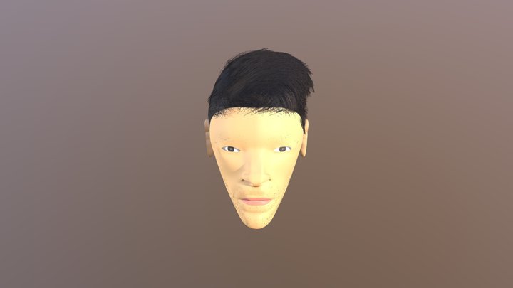 Rayan's face 3D Model