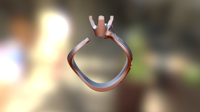 00000000-shank-ring size 7US 3D Model