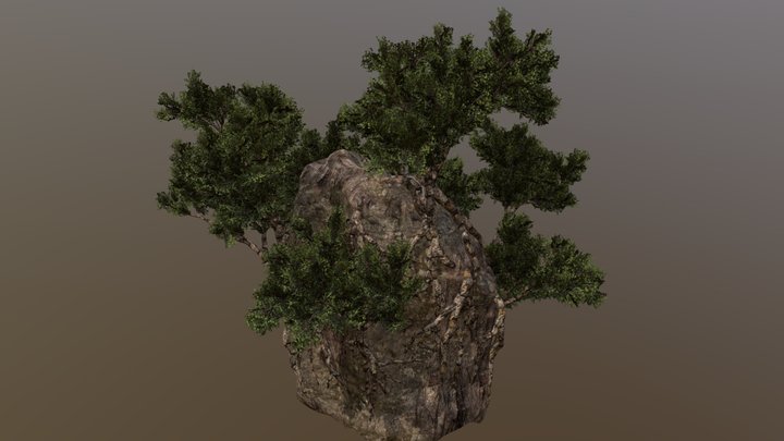 Stone Rock(part4)