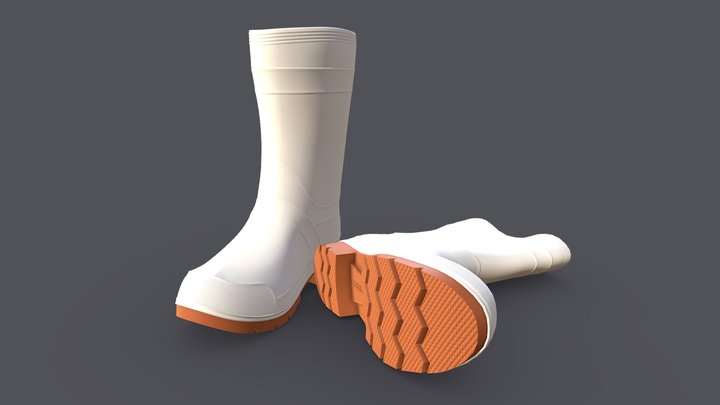 Boot Pair 3D Model