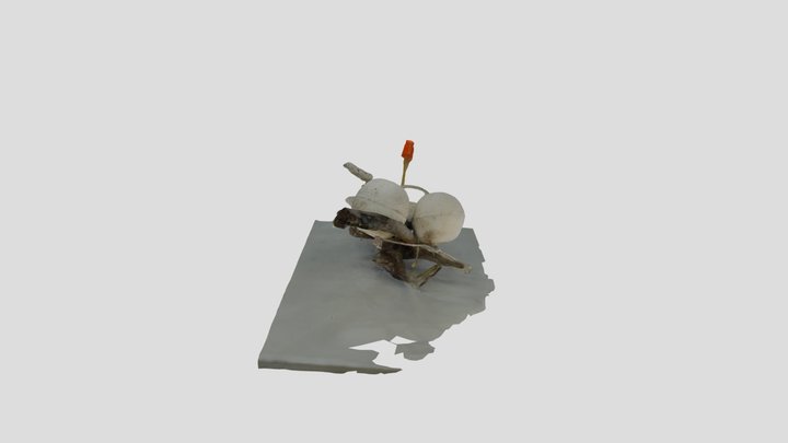 Tanegashima-Curio-City 中設定 3D Model