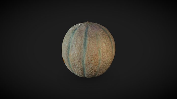 A fresh cantaloupe 3D Model