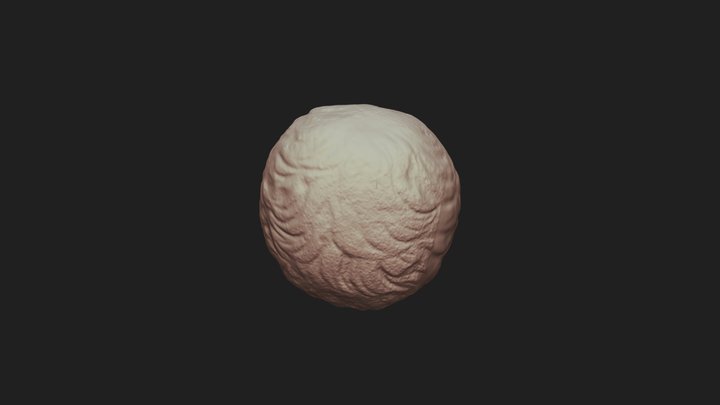 Male Head (S 1566) 3D Model