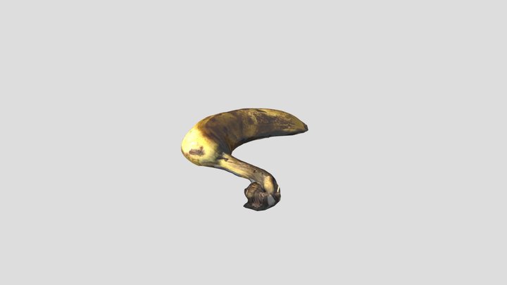 DAVID EMILIANO CALZADA MORALES 3D Model