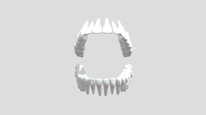 teeth 3D Model