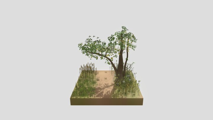 Mustard Flower Field 3D Model