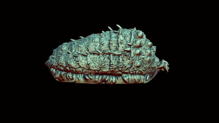 王蟲 Ohmu 3D Model