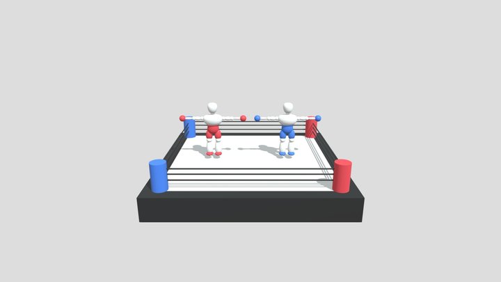 Boxers in Ring