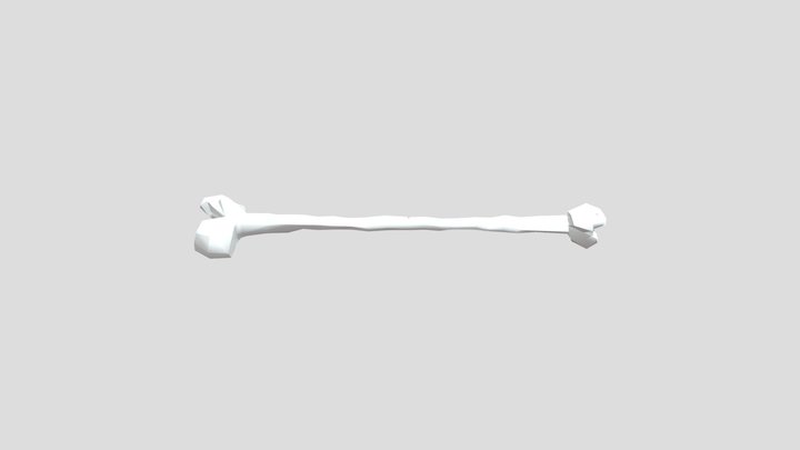 Melva Mitchell Bone Care in Chiropractic 3D Model