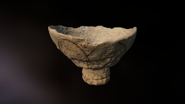 Copa 3D Model