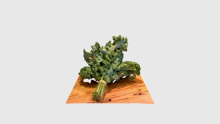 Broccoli Gt 3D Model
