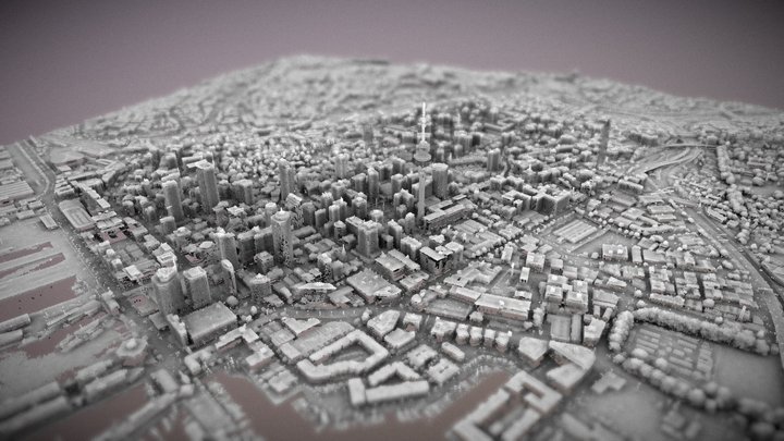 Auckland LIDAR AO 3D Model