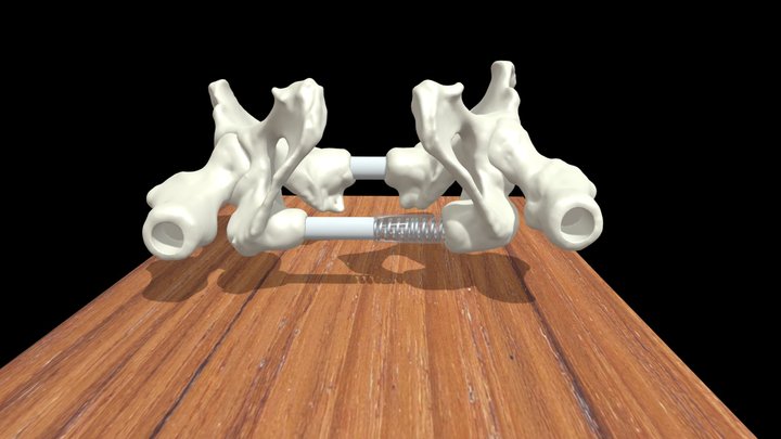 Mecanismo de Simulador de Hamaca Pélvica V3 3D Model