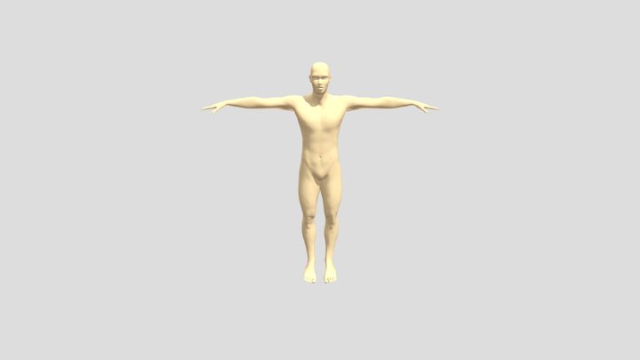model 3d human base 3D Model
