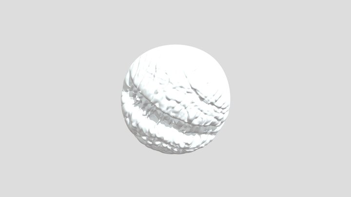 My model 3D Model