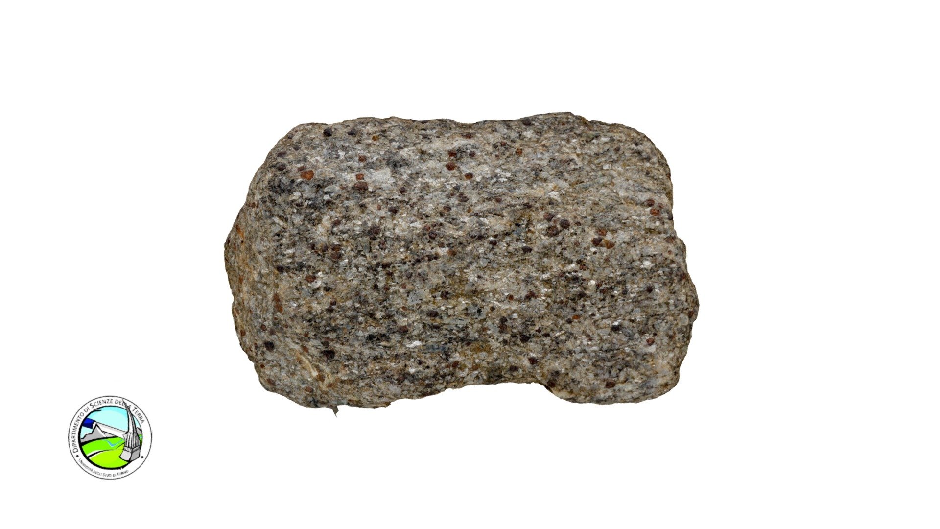 MR21 - Micascisto a due miche, Granato e Cianite - 3D model by ...