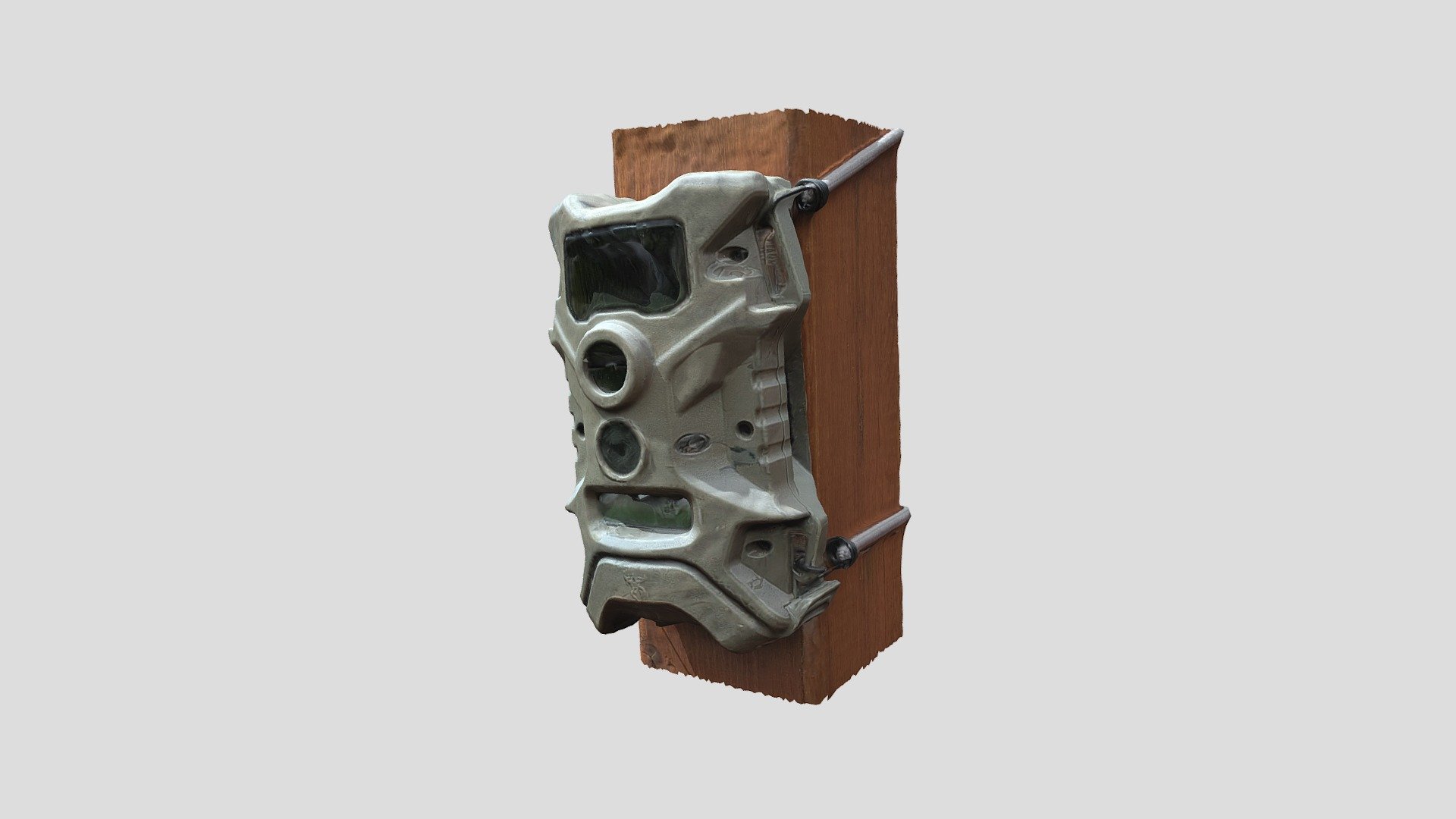 Crittercam