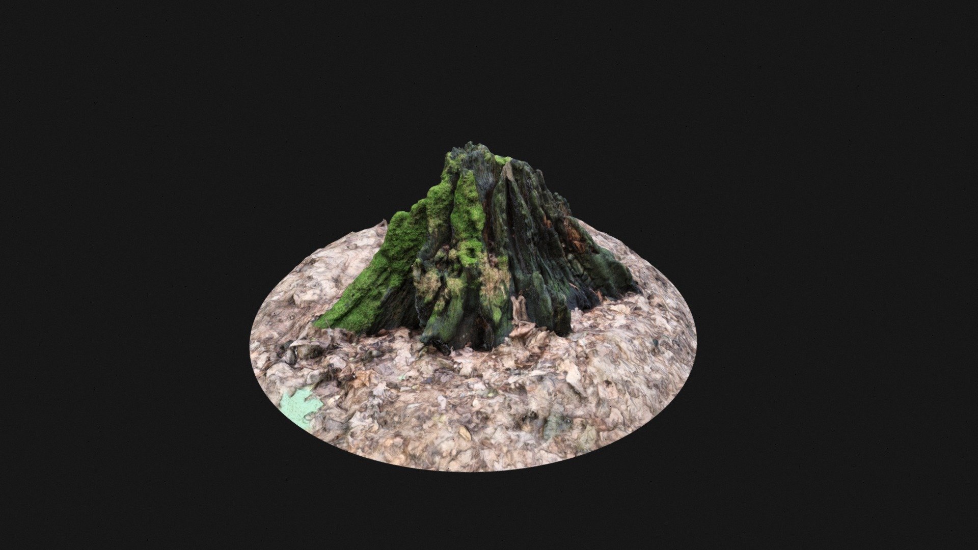Stump_001 - 3D model by SeferotR [031ed89] - Sketchfab