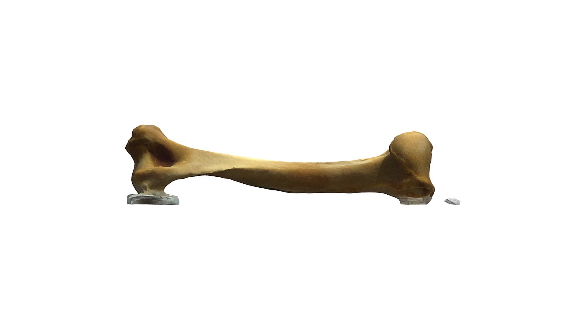 Ho UMVC5044_3-poly — Sketchfab embed 3D viewer