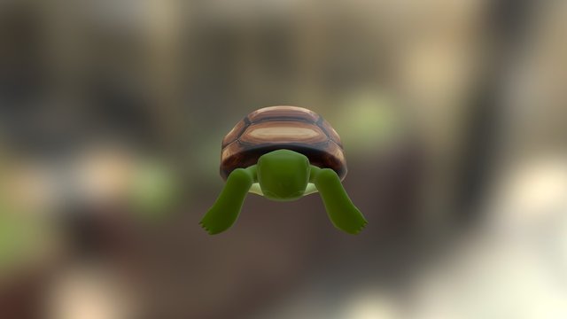 Tortuga 3D Model